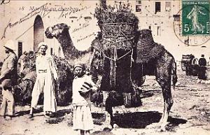 Images d'Algerie 164